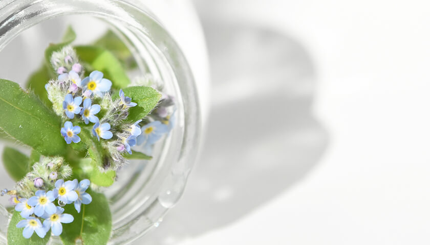 �ķФ��Ƥ��飱ǯ��νз졣��ФκƳ����ɤ���µ��β�ǽ�������롩