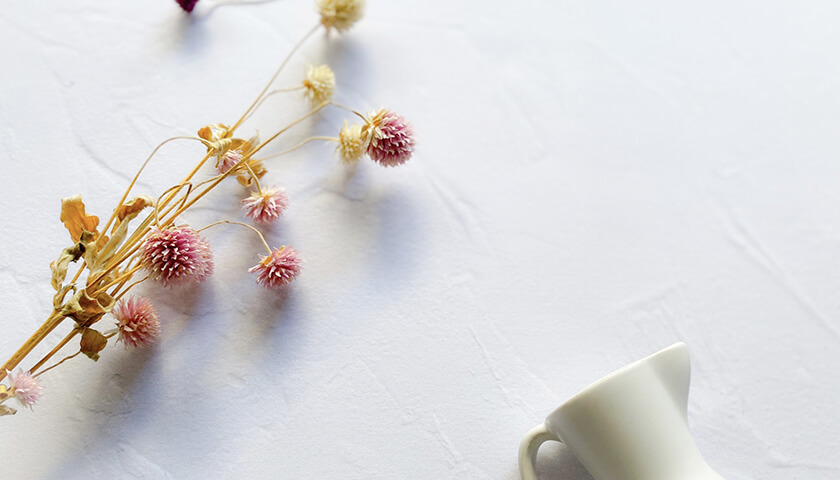 ���뤮�ߤ�1��4�����©�ҡ���������ޱĲ����Ѥ����ۤ����褤��