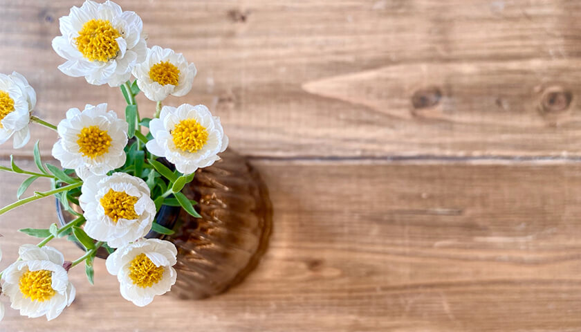 ���������ʤ˴����塢�������ĤŤ��Τϸ��ɡ������Ǥ���٤���