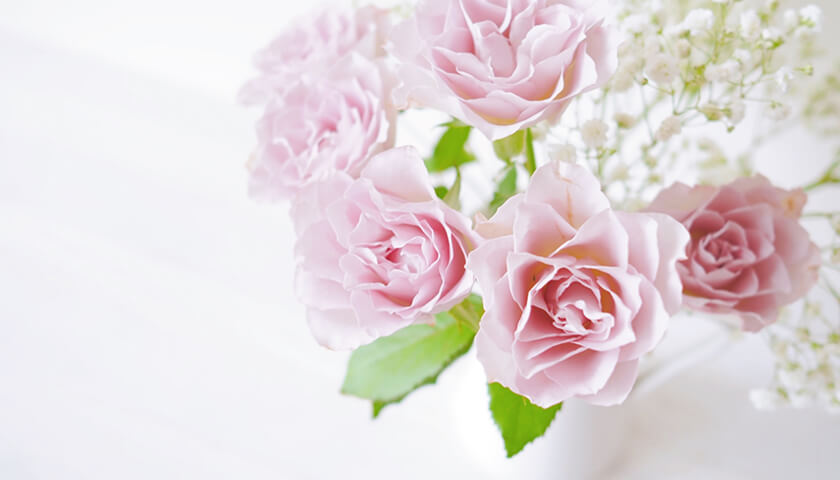 �㤤��������Ω������ߤ�¿�������䤹�����֤������Ϸ�פβ�ǽ���Ϥ��롩