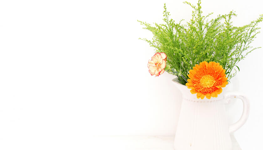 �����ढ���Ӿ��׿��說���󡣶�ۤ��¤����說������ܼ路�Ƥ���̤�Ʊ����