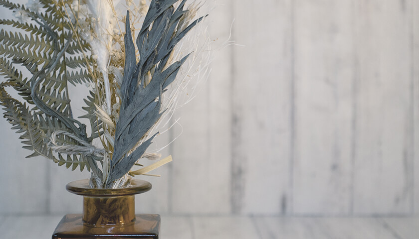 ͧ�ͤ��ޥ����ץ饺���ٱ�ˤʤä����������ʤ�����˲������դ��٤���