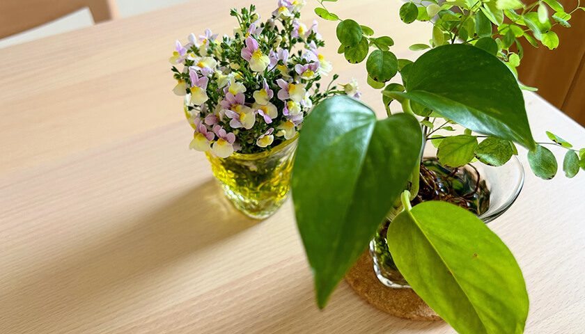 ���ƥ��������ͤǲ������ʤ��Фͻء���Ѥ򤷤��ۤ����褤��