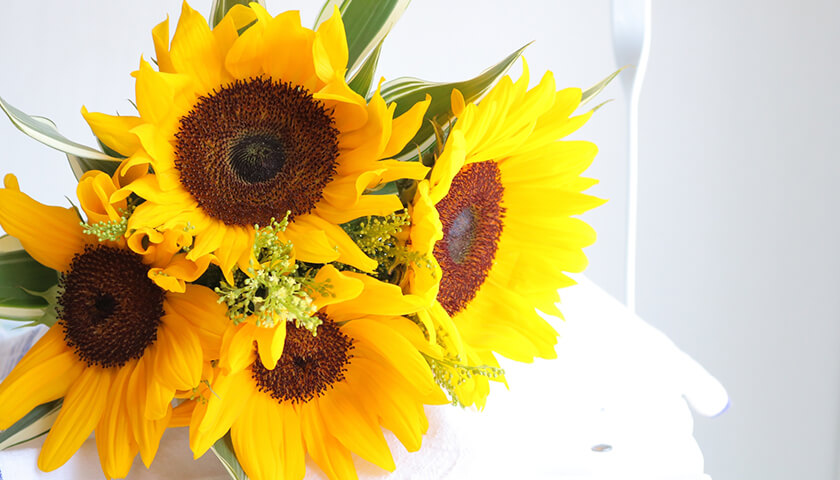 ��ǯ�Ƥˤʤ�Ȥ����ξɾ����Ф롣Ĺ�����������Ĥ餤���ᡢ�������Τꤿ��